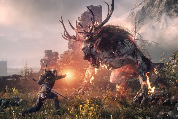 The Witcher 3 Wild Hunt - Game of the Year Edition